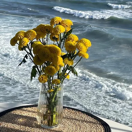 Beachfront At Costa Del Sol Apartment *